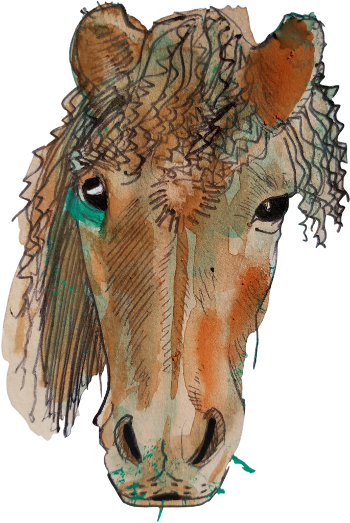 Horseface (685x1024), Png Download
