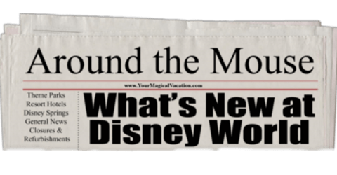 Around The Mouse January 31, - Behind The Wall: Life, Love, And Struggle In Palest (480x250), Png Download