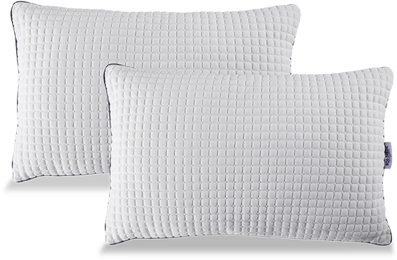 Set Of Two Bob O Pedic Classic Pillows - Set Of Two (850x534), Png Download