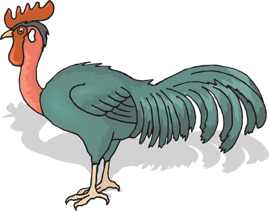 Rooster Clipart Rooster Chicken Clip Art - Hinh Anh Dong Con Ga (900x704), Png Download