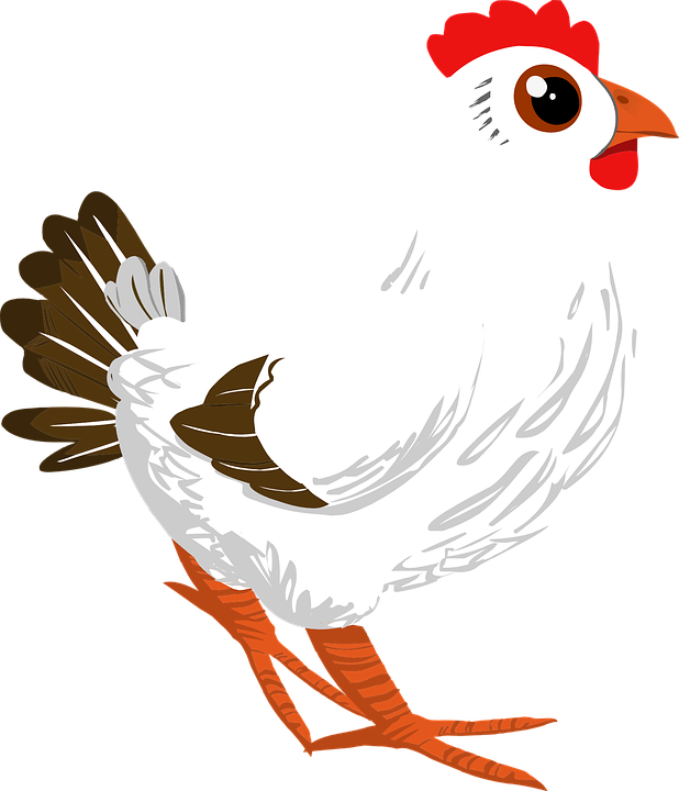 Rooster, Cock, Poultry, Cockerel, Chicken, Animal, - ไก่ Png (618x720), Png Download