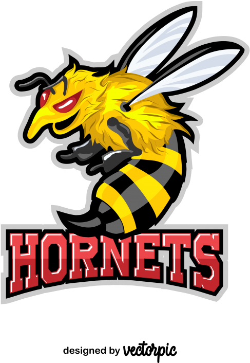 Logo (800x800), Png Download