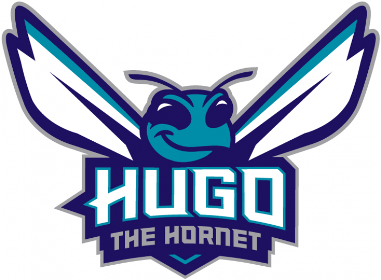 Charlotte Hornets Logos Iron Ons - Charlotte Hornets Small Logo New (750x930), Png Download