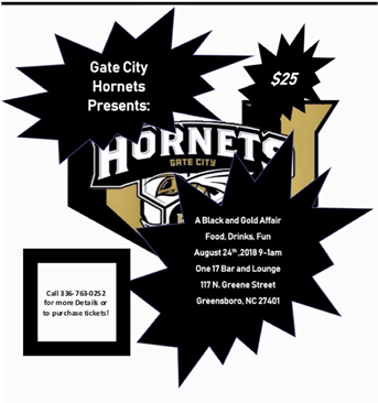 Gate City Hornets Gala - Chemiluminescence Reaction (960x365), Png Download