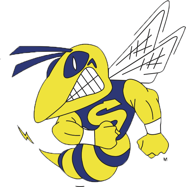 Saline High School Hornets (632x634), Png Download
