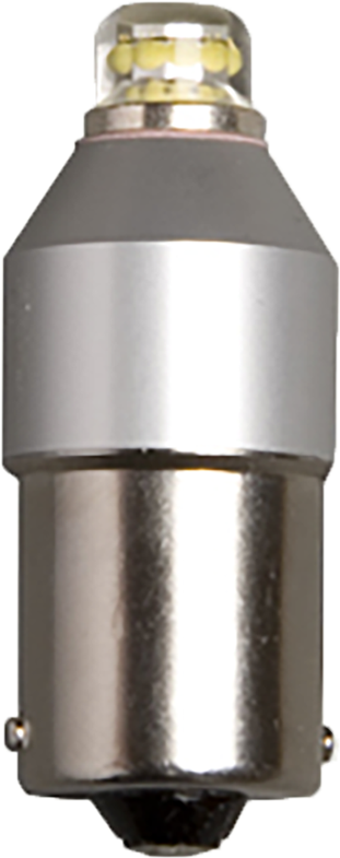 Cast Dynasty 1156 Led Lamp - Caribbean Landscape Products (1000x1000), Png Download