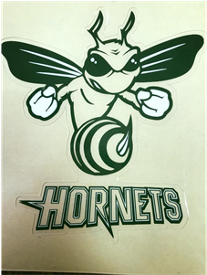 Hornet - Vinyl Sticker Decals Bee Hornet Cartoon Sports Bike (500x300), Png Download