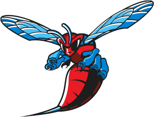 Dsu Hornets Logo 2 By Sean - Delaware State Athletics Logo (640x480), Png Download