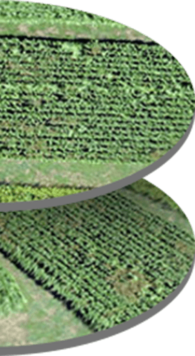 Visual Sensor - Visual Sensor Network (283x516), Png Download