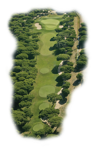Luxury Golf Holidays With The Millenium Course - Golf (320x520), Png Download