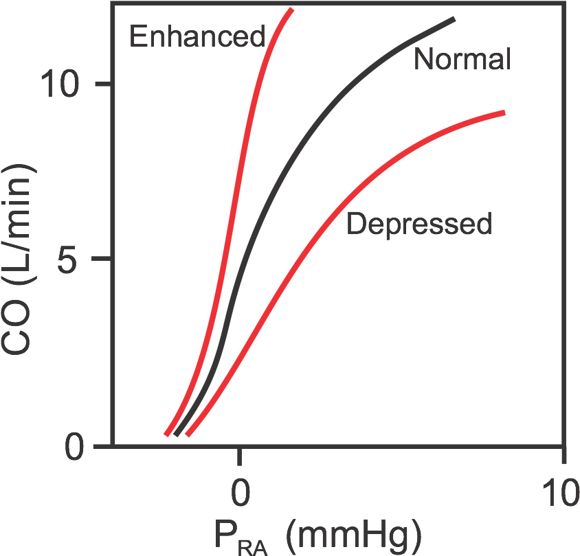 Cardiac Function Curves - Vascular Function Curve (889x845), Png Download