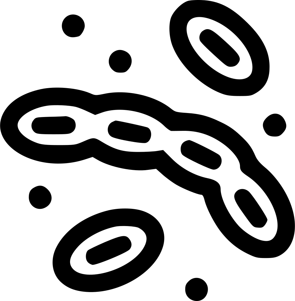 Png File - Microorganism (960x980), Png Download