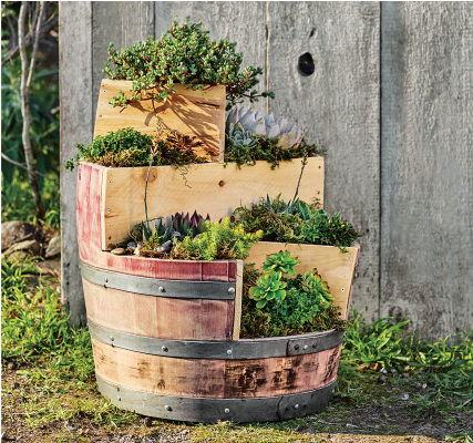 Recycled Wine Barrel Planter - Grass (480x480), Png Download