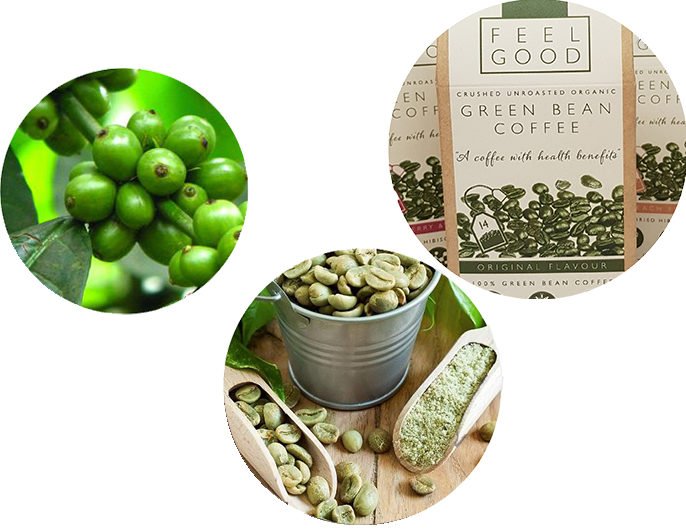 Green Bean Coffee From Tree To Packaging Picture - Green Coffee Beans Banner (686x530), Png Download