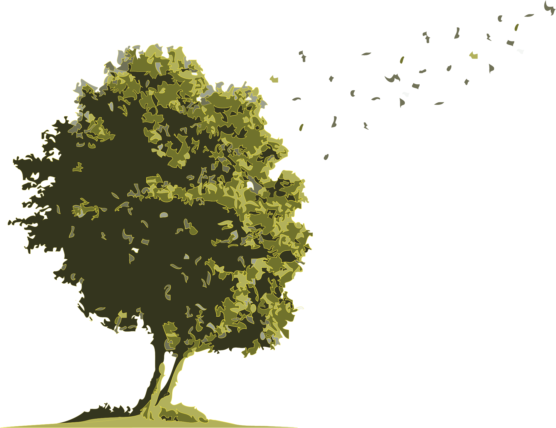 No Buses For Arbol Acuarela - Oak (2083x2083), Png Download