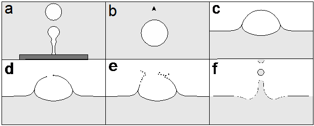 Schematic Example Of Bubble Formation , Rise (b) - Bubble (620x250), Png Download