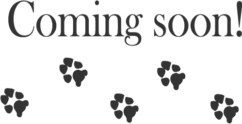 Dog Coming Soon - Coming Soon With Dog (576x300), Png Download