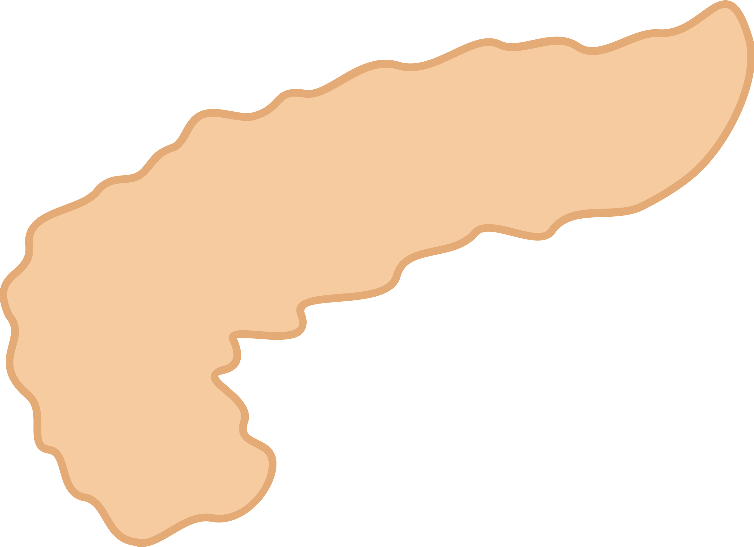 Pancreas Png (2400x1739), Png Download