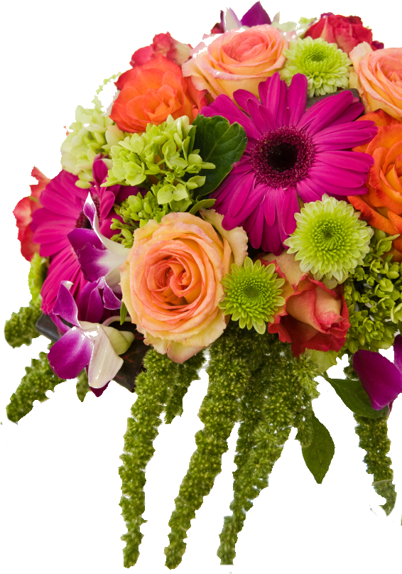 Aboutus - Enclosure Card - Birthday Flowers (50ct) (565x850), Png Download