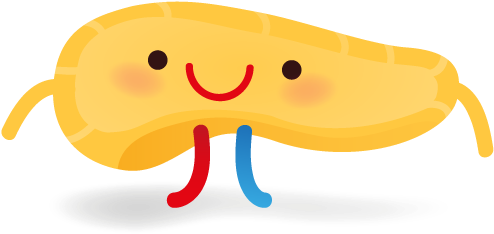 Un Páncreas Feliz Es Un Páncreas Sano - Pancreas Dibujo Png (566x268), Png Download