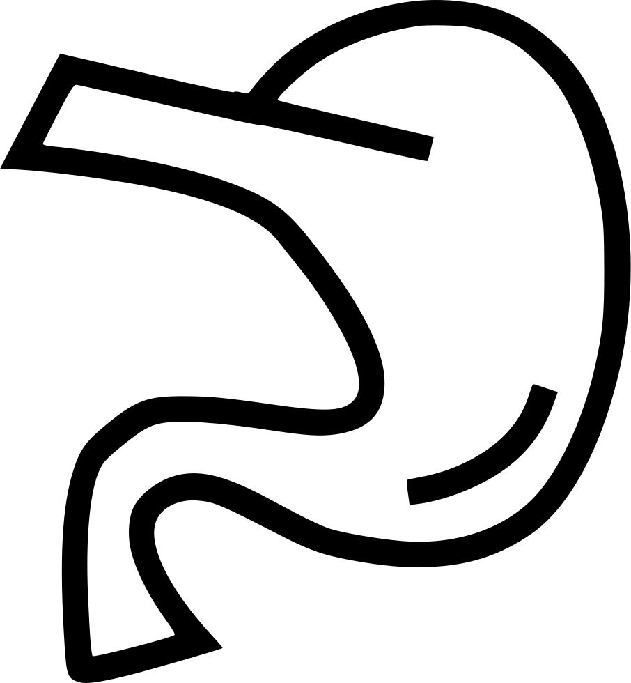 Pancreas Anatomy Organ Comments - Body Parts Stomach Drawing (906x980), Png Download