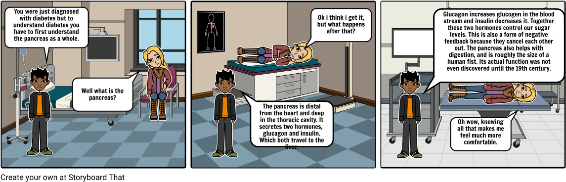 Pancreas - Storyboard (1164x385), Png Download