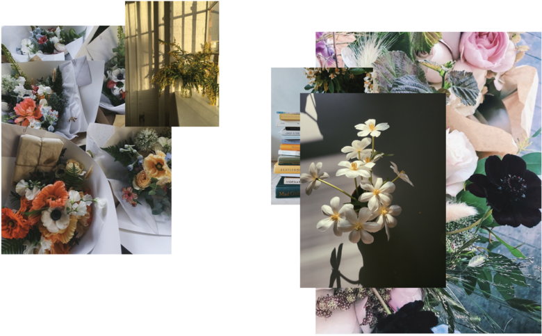 Worm Shop-15 - Portable Network Graphics (1000x557), Png Download