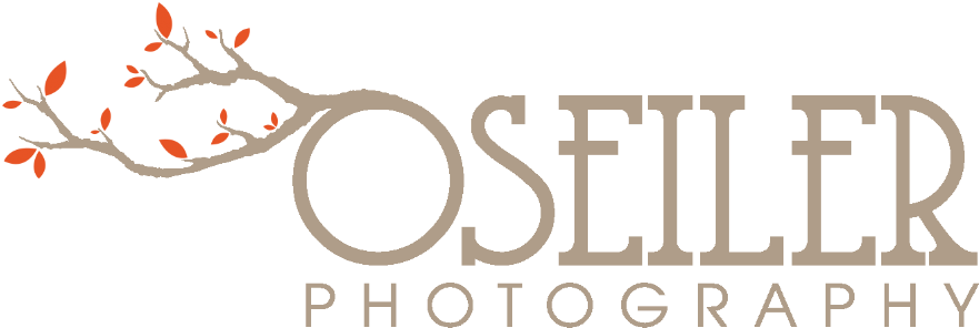 Jordy Nelson At Divine Savior La Vita - Healthy Paws Adult Wet Food Tin 400g - Turkey & (900x339), Png Download