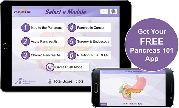 Available For Ipad, Iphone And Android - Pancreas (600x364), Png Download