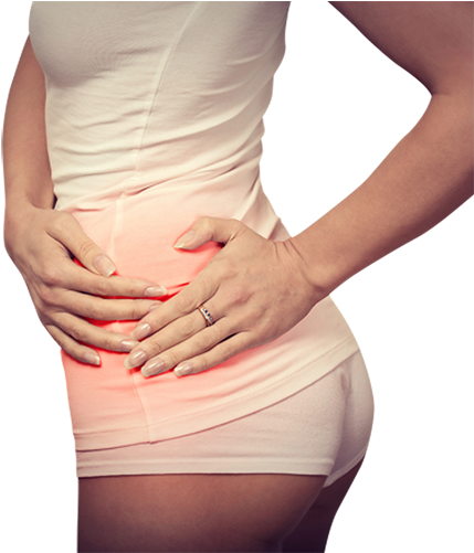 Pancreatic Cancer - Kidney (500x500), Png Download