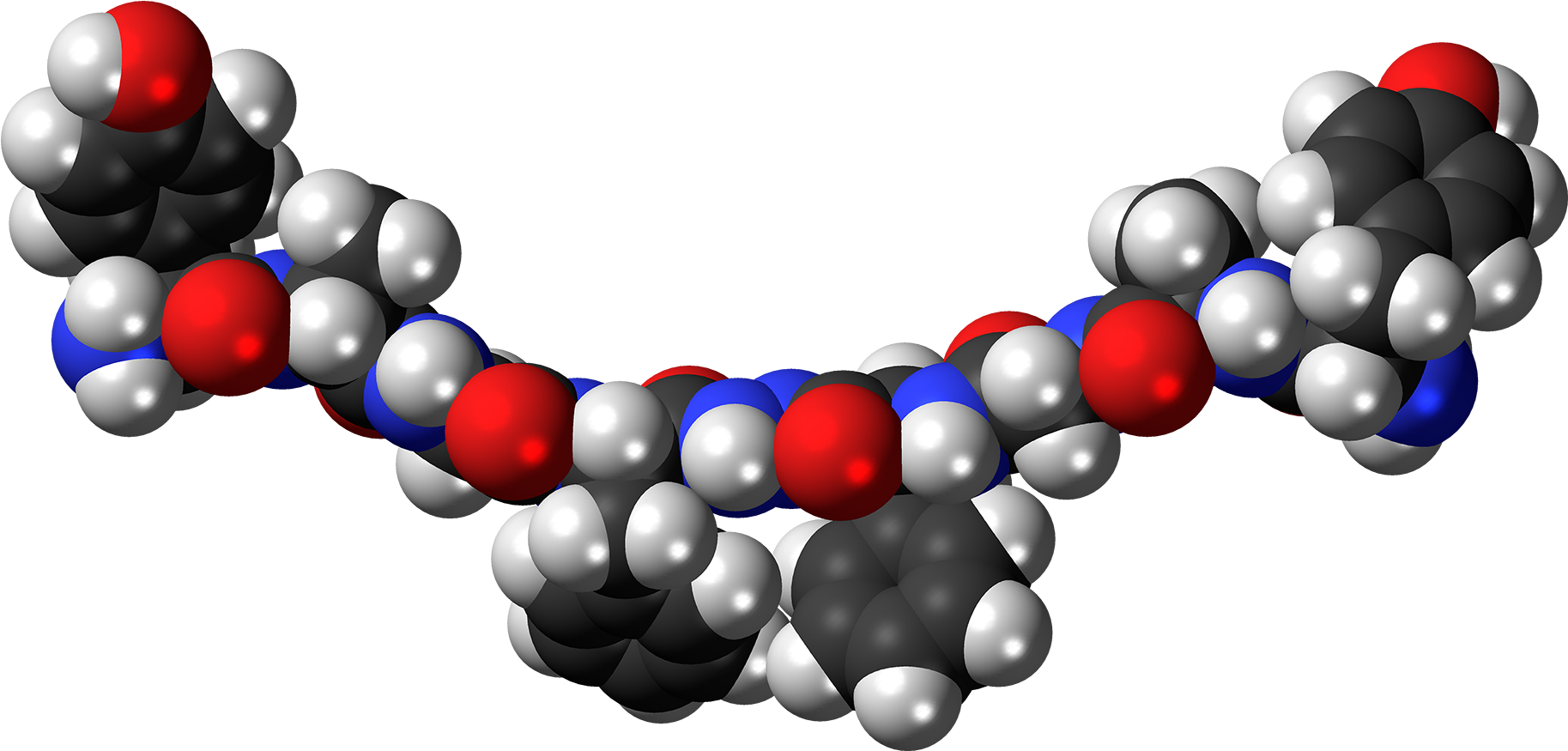 Biphalin Molecule Spacefill - Ghrelin Space Filling Molecule (2000x1048), Png Download
