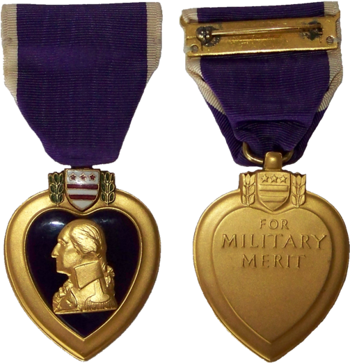 Purple Heart Medal Png For Kids - Medal (540x553), Png Download
