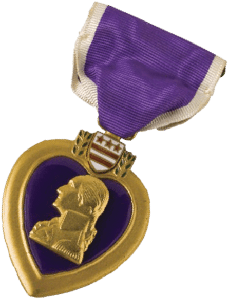 Purple Hearts Reunited - Purple Heart Medal (768x647), Png Download