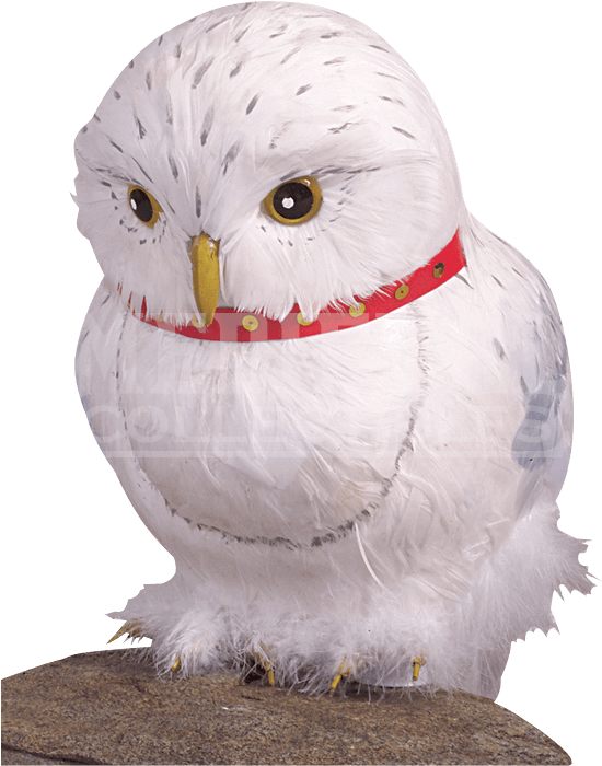 Hedwig The Owl Prop - Harry Potter Hedwig Owl Prop (706x706), Png Download