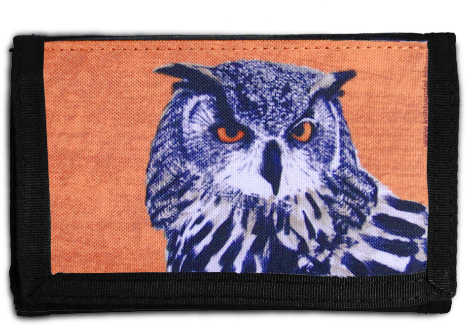 Purse Xxs Owl Hedwig - Eagle Owl (1000x750), Png Download