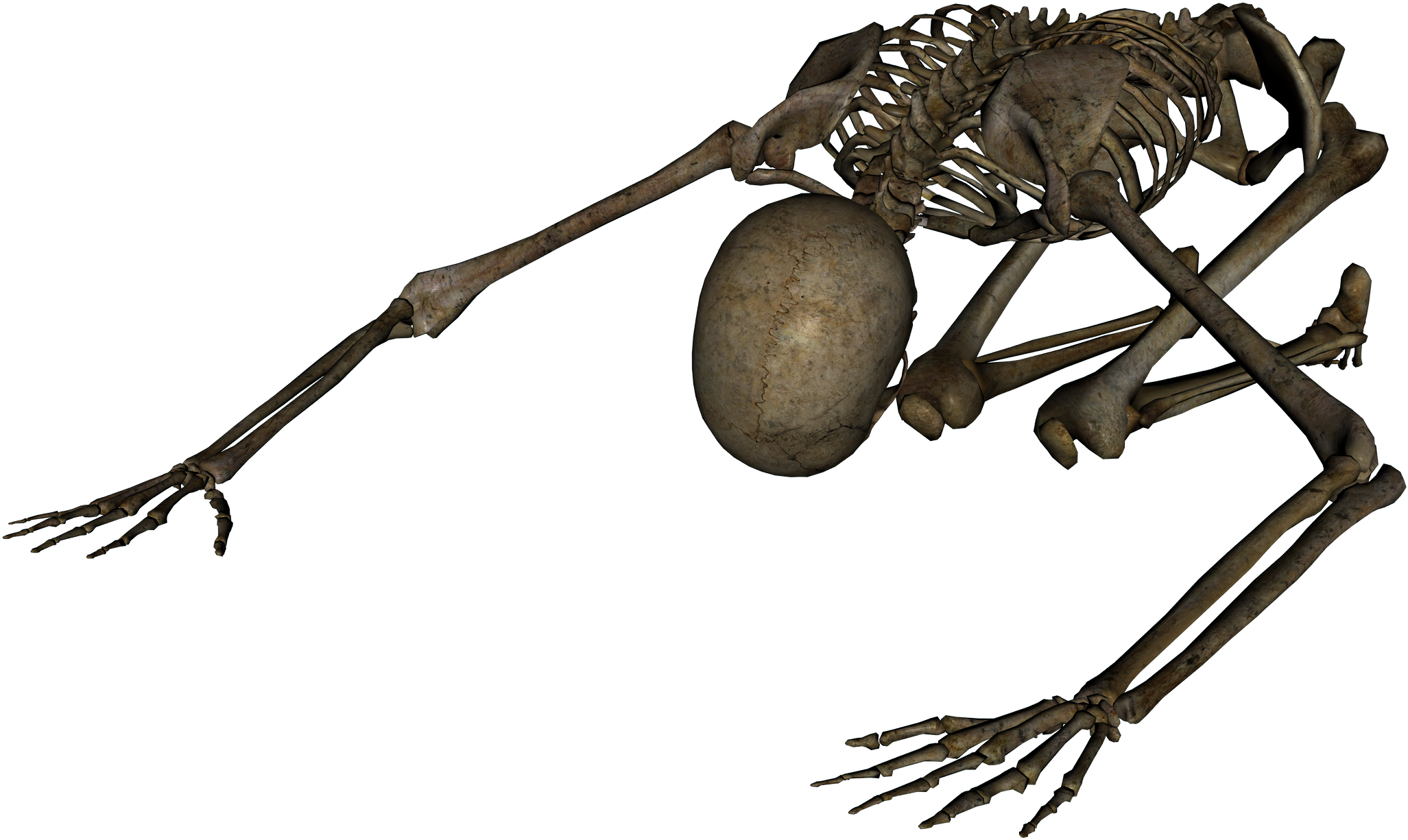 Free Icons Png - Your Special (2400x1800), Png Download