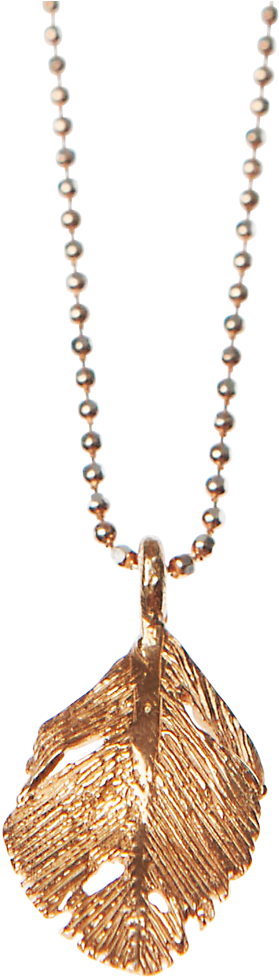 Aurum Rose Raven Feather Pendant - Wrinkle In Time Jewelry (1000x1000), Png Download