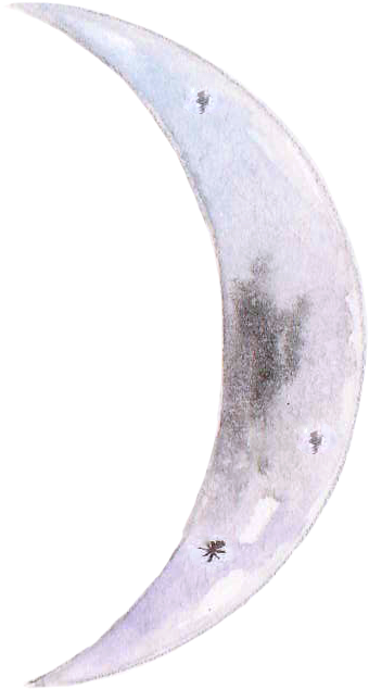 Moon Waxing - Celestron Xlt Optical Tube Assembly (614x696), Png Download