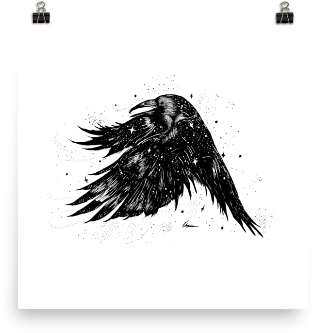 Starry Raven (1000x1000), Png Download