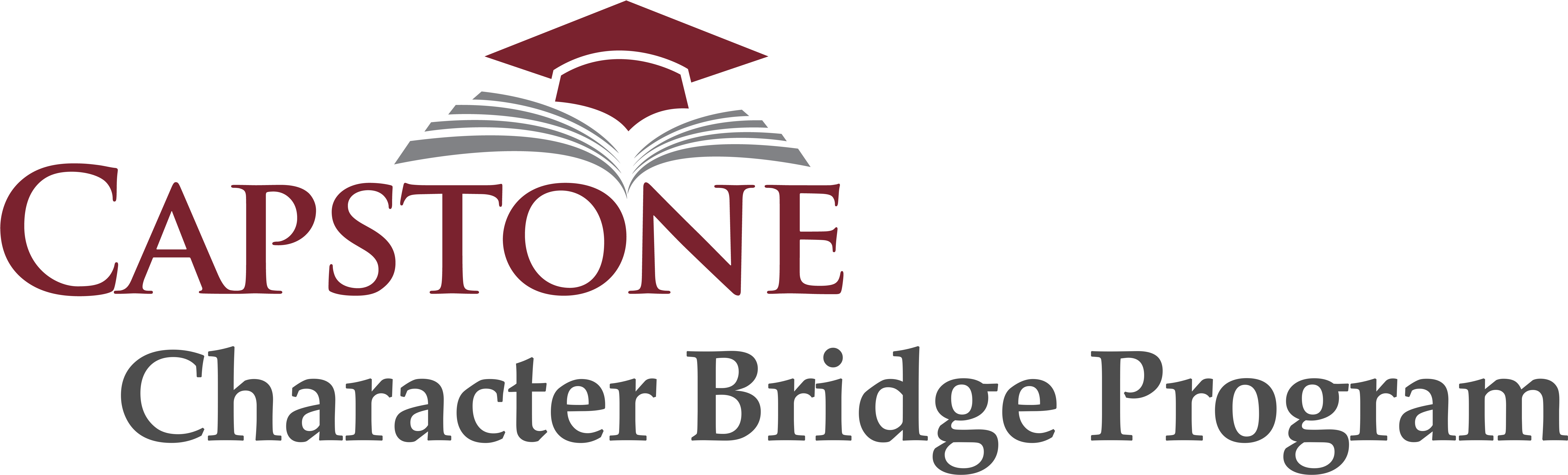 Capstone-character Bridge Program - Kruger&matz (6808x2156), Png Download