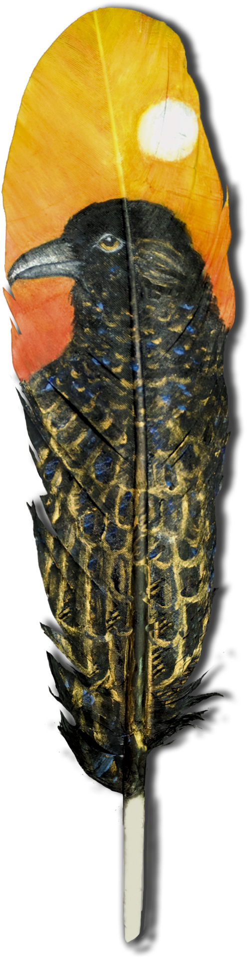 Tiger Beetle (1320x1980), Png Download