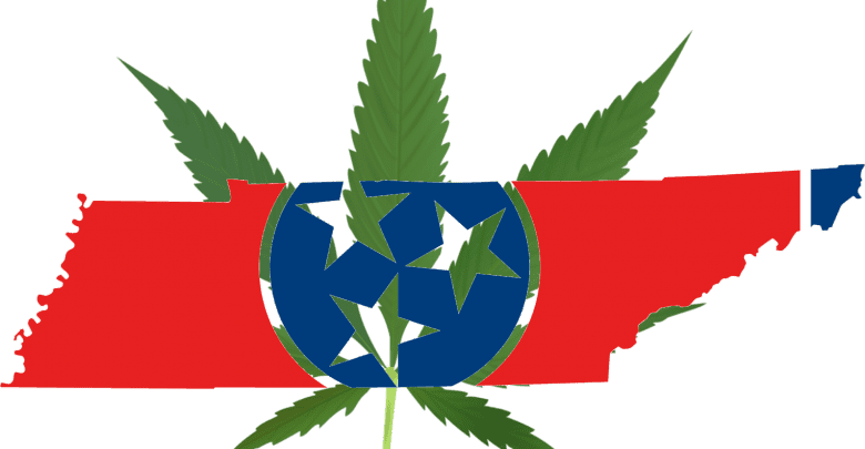 Residents Want Tennessee Medical Marijuana, But Politicians - Cannaleaf-1 Shower Curtain (780x405), Png Download
