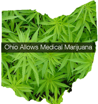 Ohio Governor Kasich Signs Medical Marijuana Law Making - Ohio Marijuana (397x360), Png Download