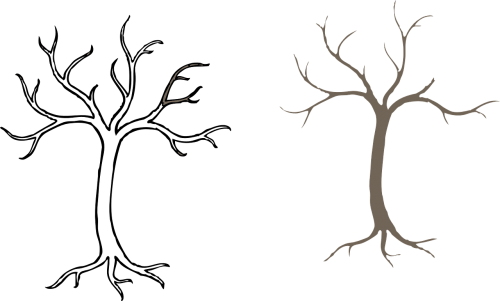 Outline Of A Tree (500x301), Png Download