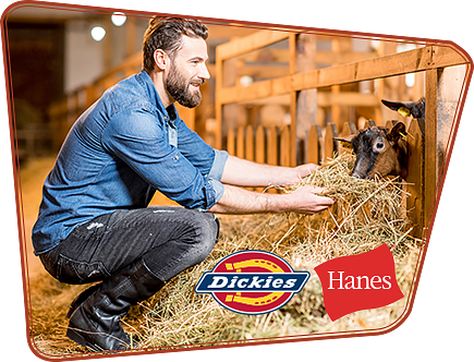 Hanes/dickies Clothing - Freng Dickies Apparell J0188 Samsung Galaxy Note 8 (435x332), Png Download