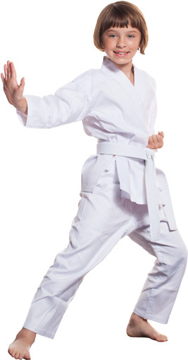 Crying Does Not Change Anything - Karate (268x534), Png Download