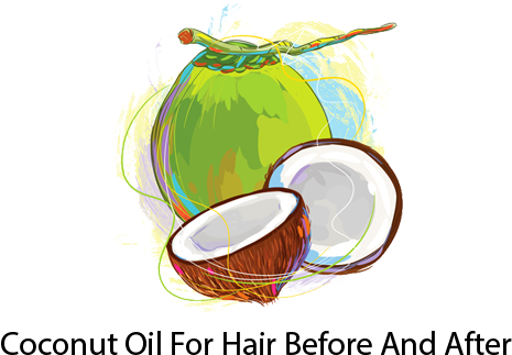 Download Coconut Oil For Hair Before And After Logo Coconut Oil Logo Png Image With No Background Pngkey Com