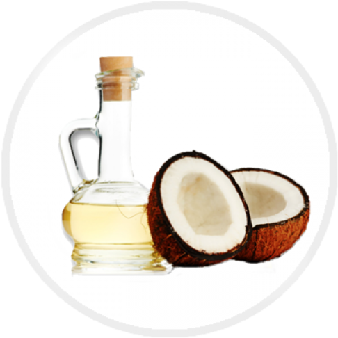 Pure Coconut Oil - Molivera Organics Fractionated Coconut Oil 16 Oz. Premium (500x500), Png Download