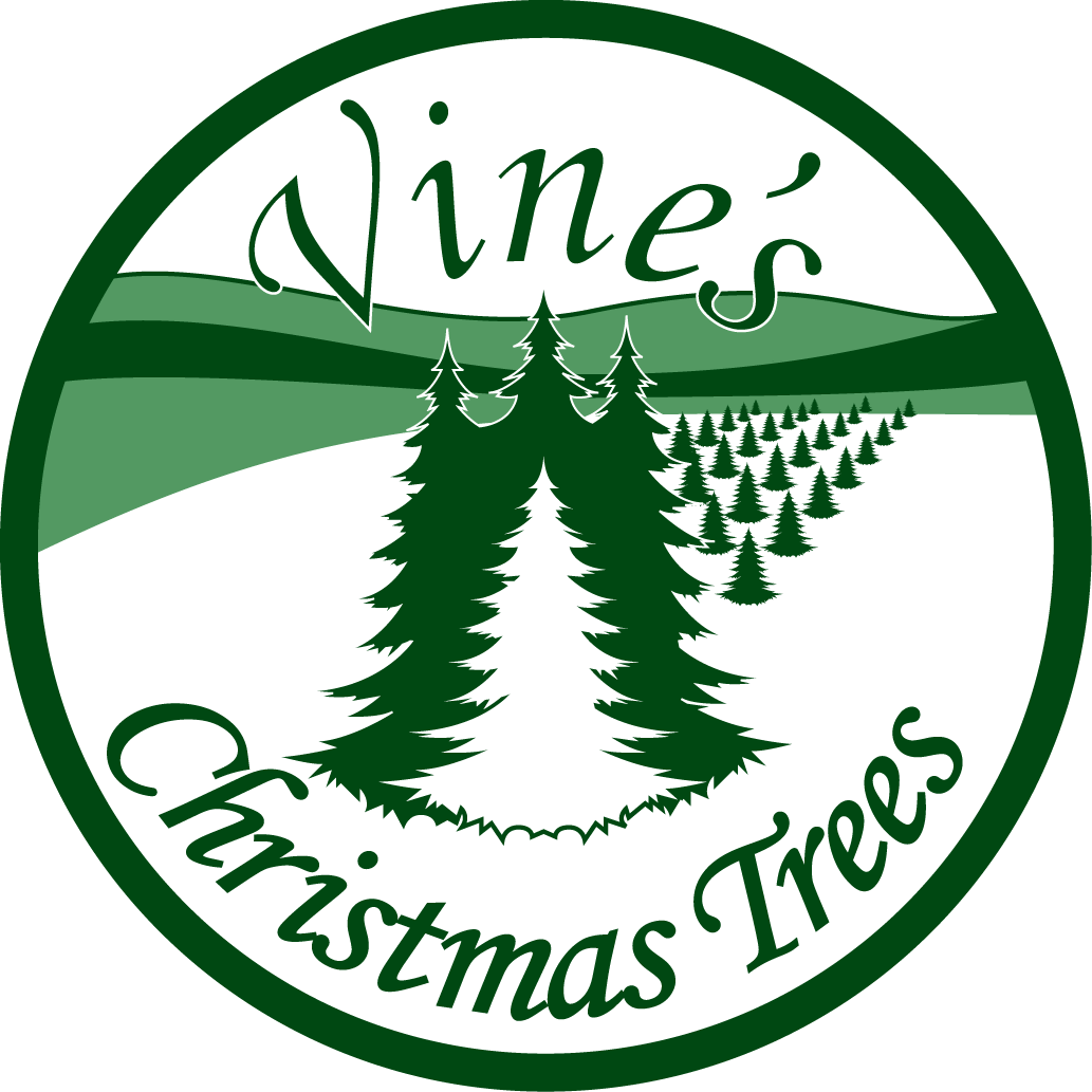Vineyard Vines Christmas Logo - Circle (1033x1033), Png Download
