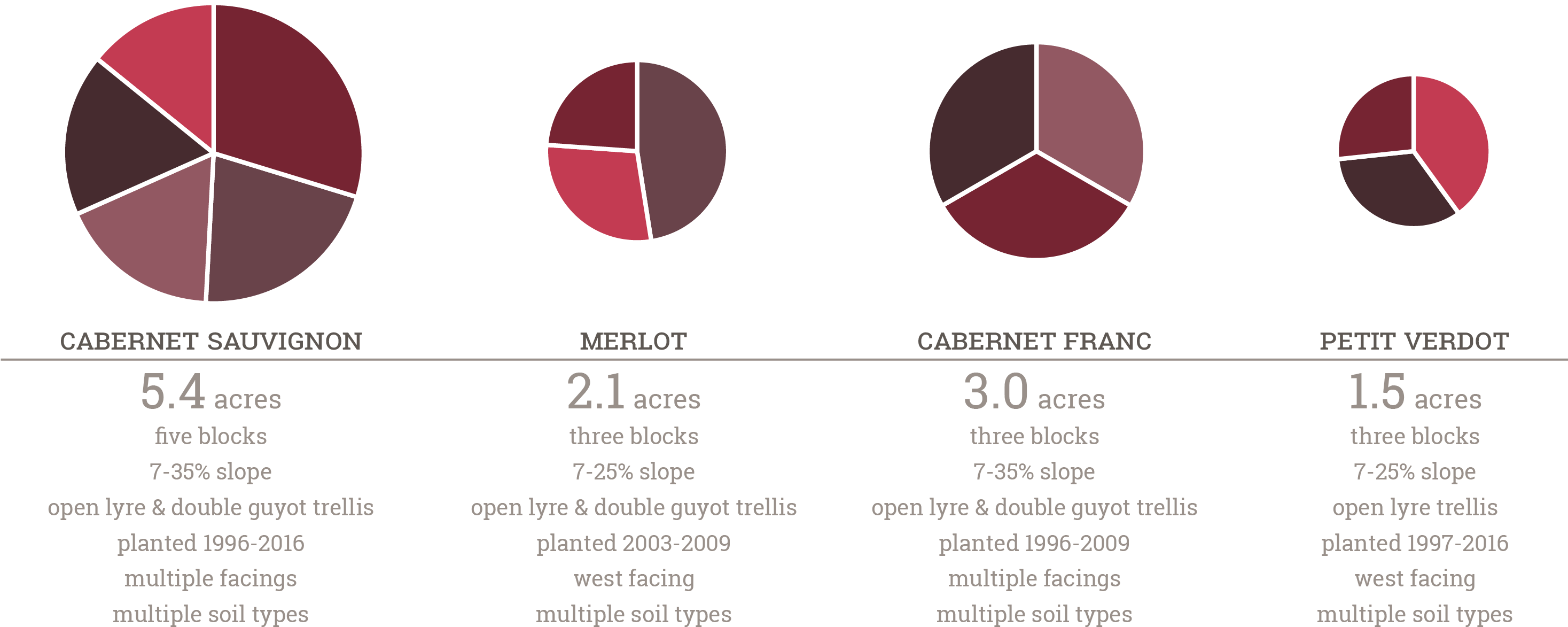 The Vines Are Cane Pruned And Trained To Both The Open - Portable Network Graphics (2934x1243), Png Download